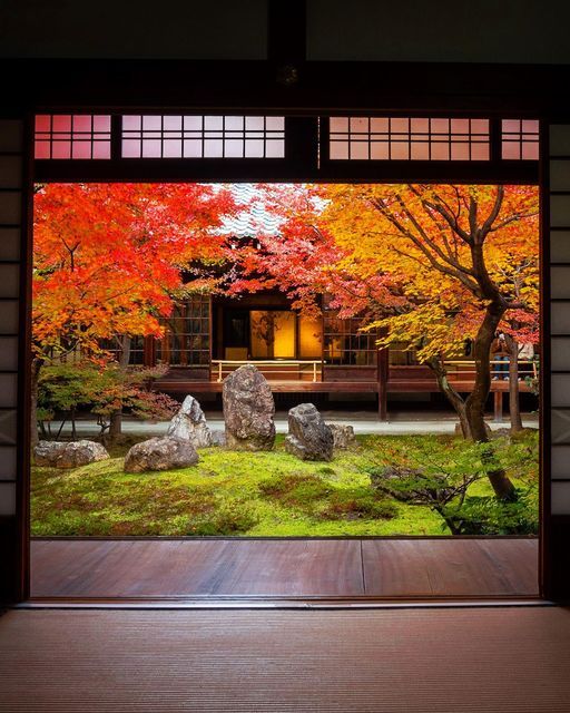 Autumn Garden