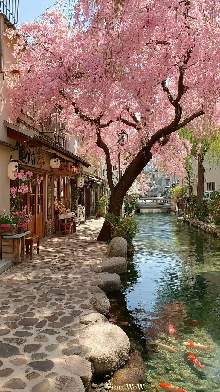 Spring Garden