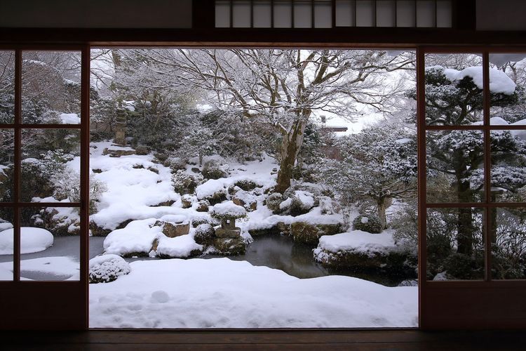 Winter Garden